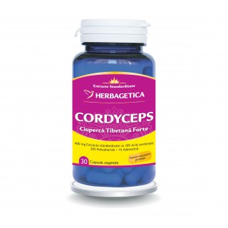 Cordyceps 10/30/1 Ciuperca Tibetana Forte