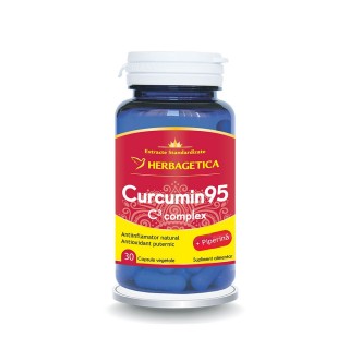 CURCUMIN95 C3 COMPLEX